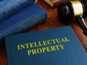 Intellectual Property Laws